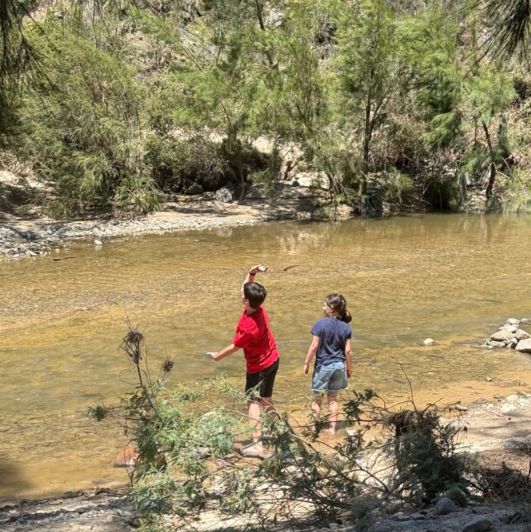 Two kids at a shallow point in the river, skipping  stones across the water