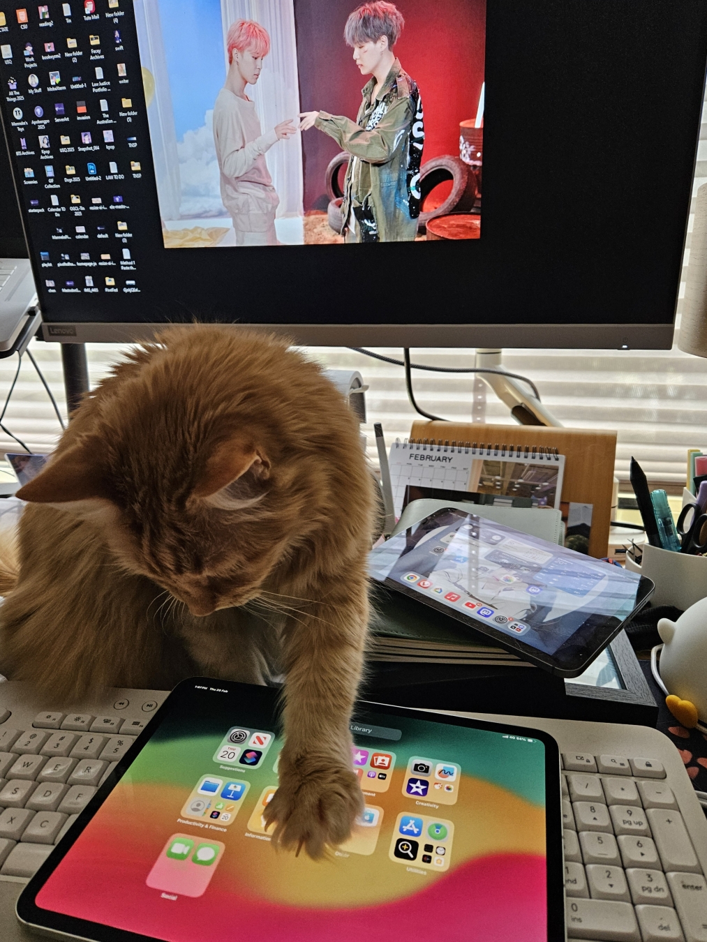 Ajax the orange cat sitting on my messy desk, using his new Ipad Pro because of course it belongs to him!